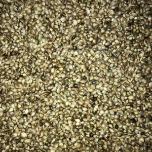 Apex baits uncooked hemp seed